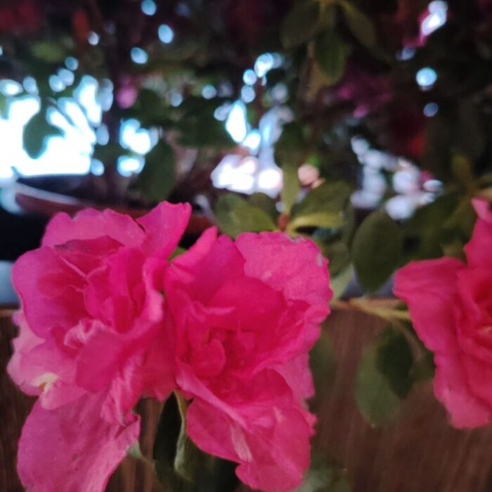 "Votre santé est unique comme vous - elle mérite une approche sur mesure."