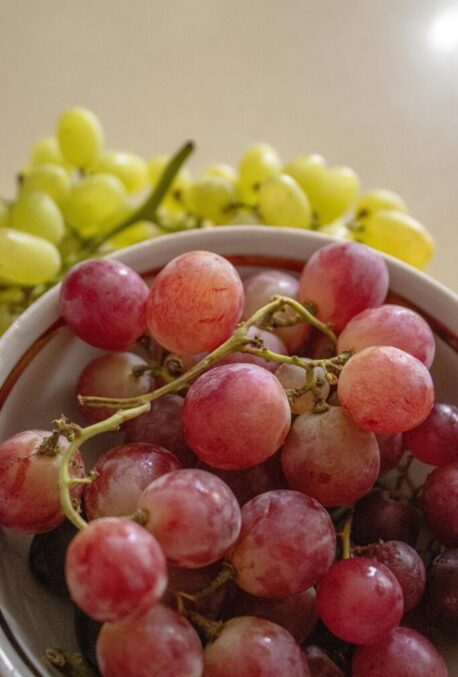 Santé-Essences123458888é4009M