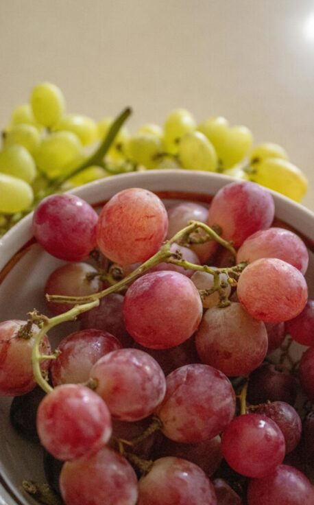 Santé-Essences123458888é4009M