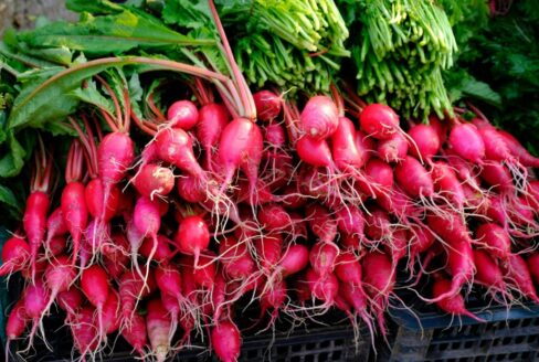 Santé-Essences123458888é4009P