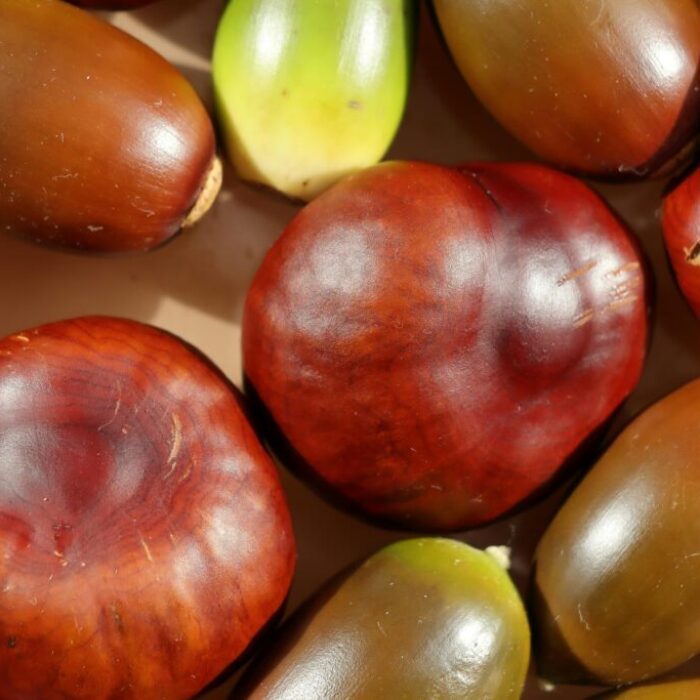 "Écouter le corps pour comprendre son langage, traiter la cause pour retrouver l'harmonie."