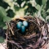Un soutien bienveillant avant, pendant et après la grossesse